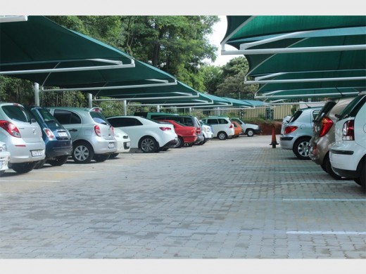 Blairgowrie Primary School donated close to a 1 000m² of bricks to Delta Park.
